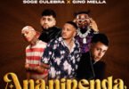 AUDIO Platform, Peipper and Gino Mella Ft. Soge Culebra and Marioo – Ananipenda Remix MP3 DOWNLOAD