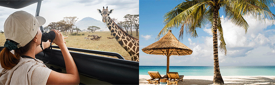 Read more about the article Can I Go on a Safari and Visit Zanzibar in the Same Trip?